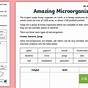 Microorganisms Worksheet With Answers