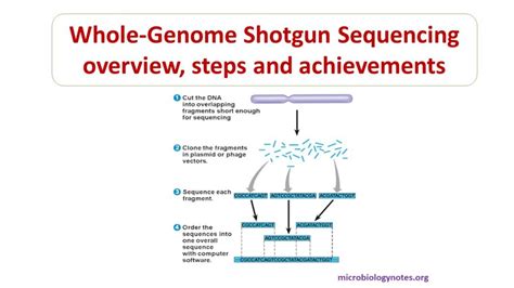 Whole Genome Shotgun Wgs Sequencing Microbiology Notes