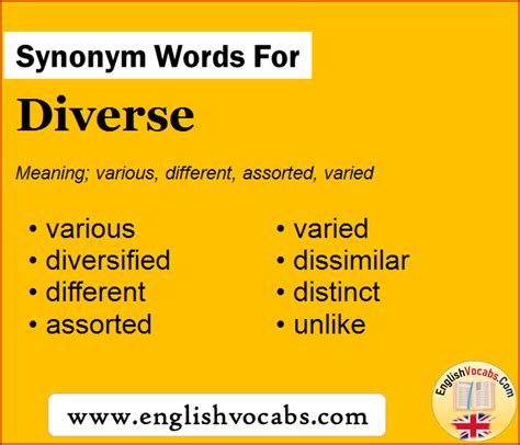 synonym for diverse what is synonym word diverse english vocabs