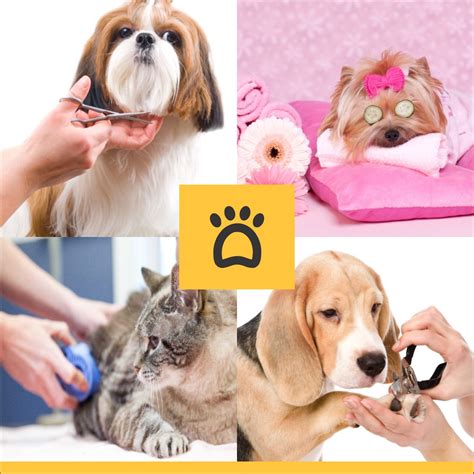 These pampered pooches truly understand the meaning of treat yourself