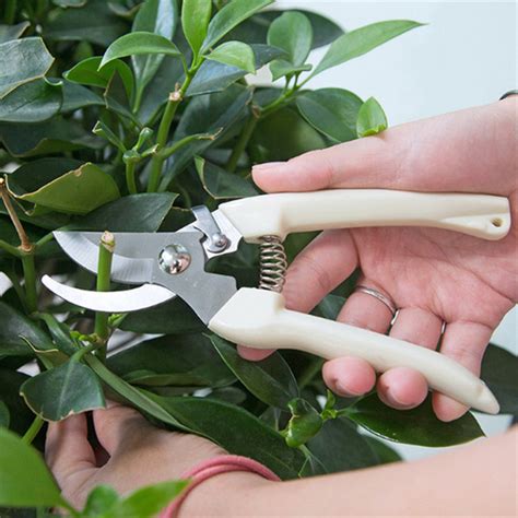 Our goal is satisfied customers, so please let us know how we can serve you! pruning branches gardening scissors repair cut flower ...