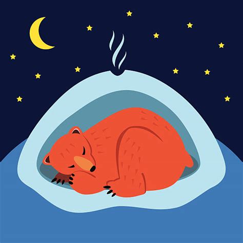 Maybe you would like to learn more about one of these? bear hibernating clipart 20 free Cliparts | Download images on Clipground 2021