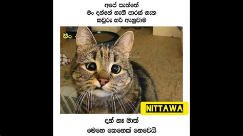Fb Funny Post Sinhala Joke Post 26 Nittawa Youtube