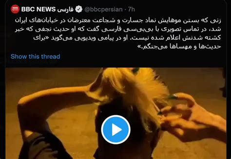 نماد کشته‌های ضدانقلاب زنده از آب درآمد خبرگزاری فارس