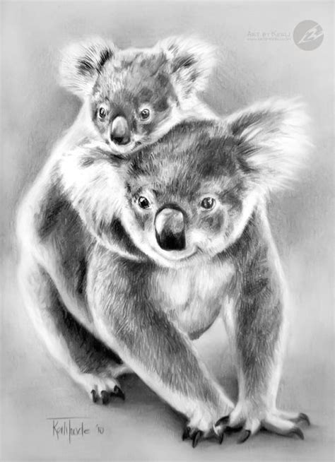 With Mum Koala Graphite Pencil Drawing By Kerli Toode Art By