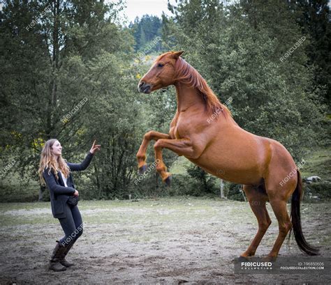 A Young Woman Training A Horse In A Field And The Horse Is Standing On