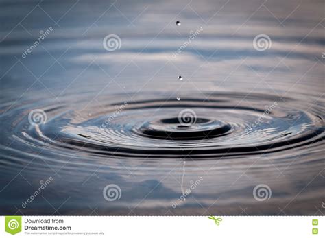 Water Droplets Falling Into A Pond Creating Ripples Stock Image Image