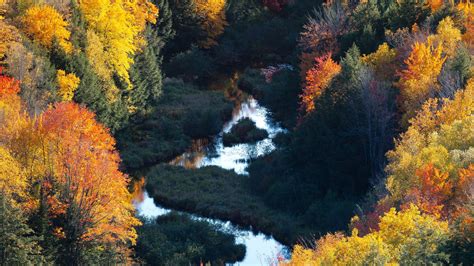 Download Wallpaper 2048x1152 Forest River Aerial View Autumn Trees