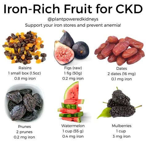 Iron Rich Foods For Ckd Patients