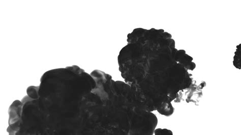 Black Ink Drop Water On White Stock Footage Video 100 Royalty Free