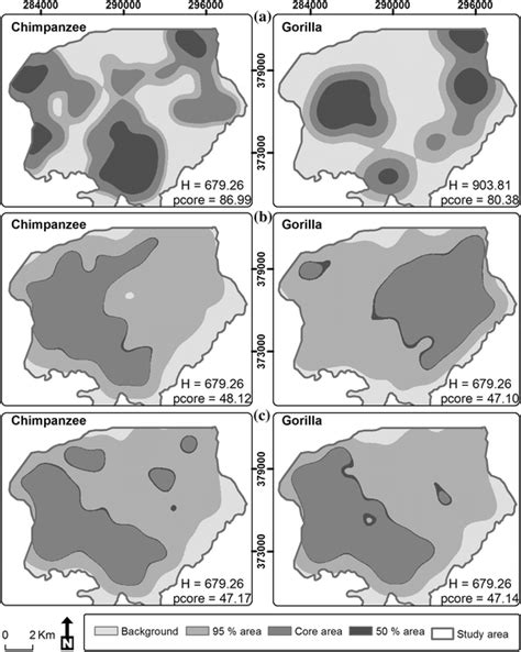 Spatial Distribution Of Great Ape Nests And Resources A Great Ape