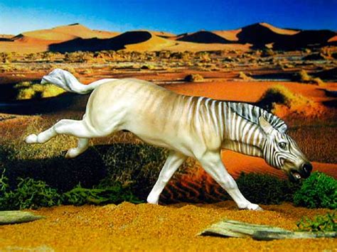 Zebra Quagga: Quagga were Extinct for 100 Years - BuzzSharer.com
