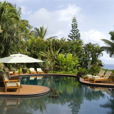 25 Spectacular Tropical Pool Landscaping Ideas Tropical Pool