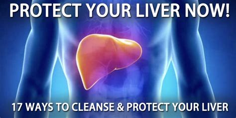 If You Want Easy And Fastest Ways To Protect Your Liver Read My Article