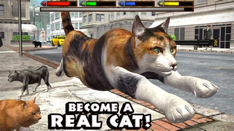 Ultimate Cat Simulator By Gluten Free Games