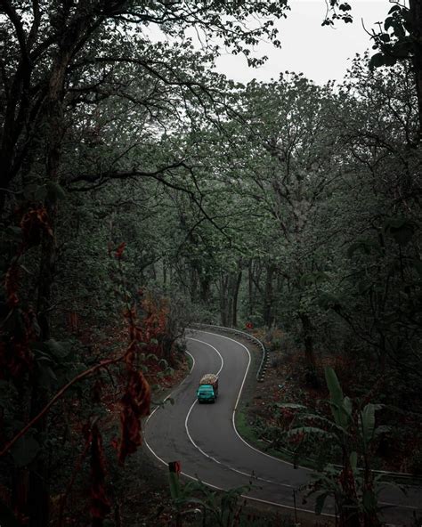 Maybe you would like to learn more about one of these? Beberapa Hutan yang Dikenal Angker di Indonesia, Pernah ...