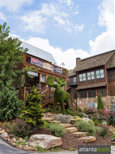 Blue Ridge, Georgia: destination & outdoor adventure guide Find an