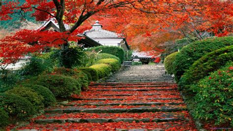 Free Download Japan Beauty Garden Staircase Kyoto Japan Hd Wallpaper