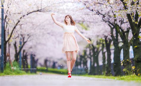 wallpaper flower pink photograph clothing nature dress beauty girl tree plant spring