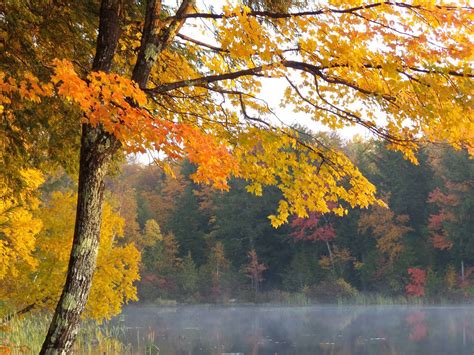 Stay Safe As Fall Hunting Season In Maine Finds Its Stride The Maine