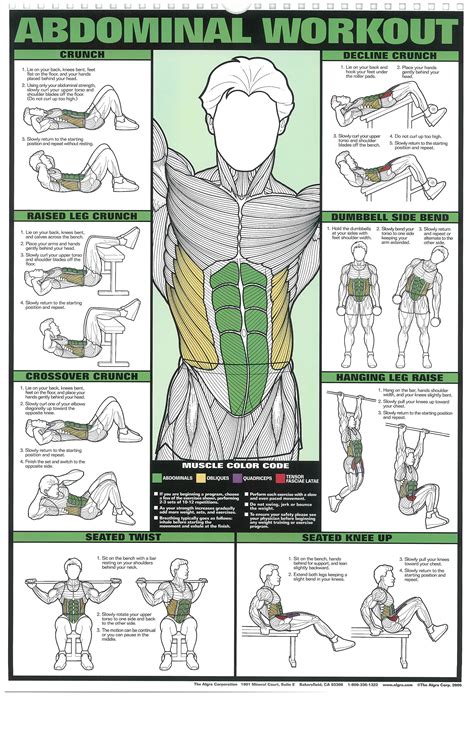 The Absolute Beginner S Guide To Exercise Workout Posters Bodybuilding Workouts Workout Chart