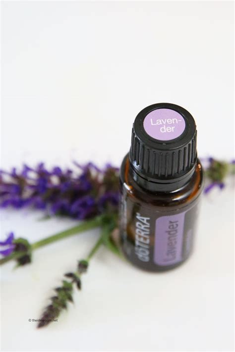 5 best oils + uses for cats. Lavender Essential Oil