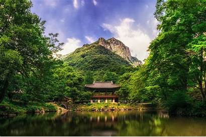 Korea South Landscape Nature Forest Mountain Trees