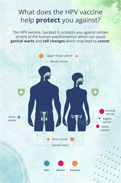 Hpv In Men Lloydspharmacy Online Doctor Uk