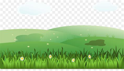 Grass Field Drawing At Getdrawings Free Download