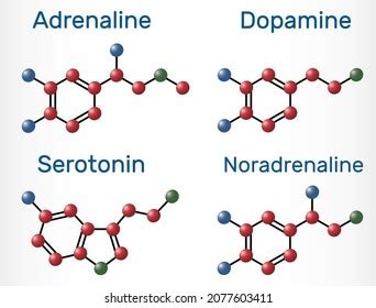 Adrenaline Epinephrine Dopamine Da Serotonin Norepinephrine Stock