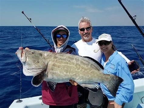 Reef Wreck Fishing For Snapper And Grouper Official Fishing Charters