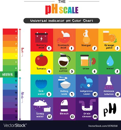 Ph Scale Universal Indicator Ph Color Chart Vector Image Images