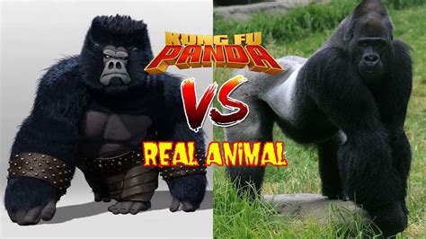 Kungfu Panda All Characters In Real Life As Animal Youtube