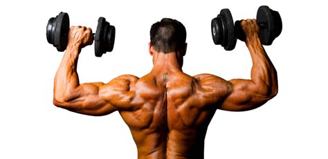Gym Bodybuilding Background Png Image Png Play