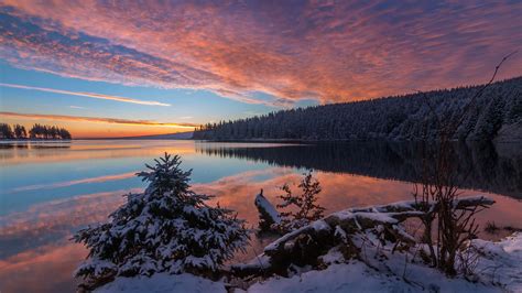 Forest With Reflection On Lake Under Sky And Snow Spruce During Sunset