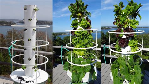 Hydroponic Gardening Tower Garden Vertical Garden Hydroponics