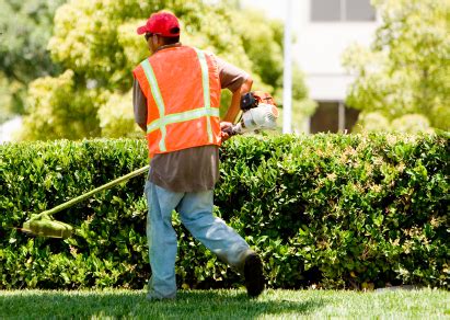 Growing a small business is a tricky businesss. Landscape Contractors Insurance in New Jersey | Franchino ...