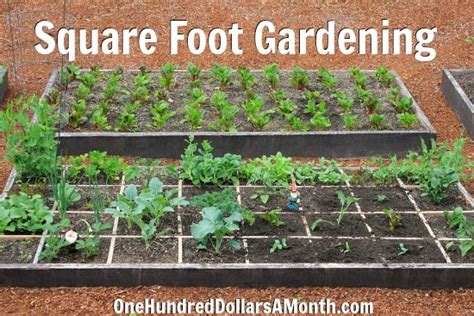 Square Foot Gardening All The Grids Have Been Planted