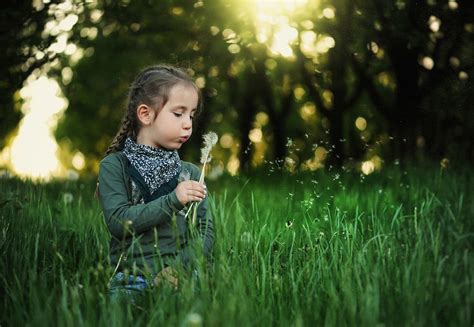 What Best Explains Childrens Connection With Nature Finding Nature