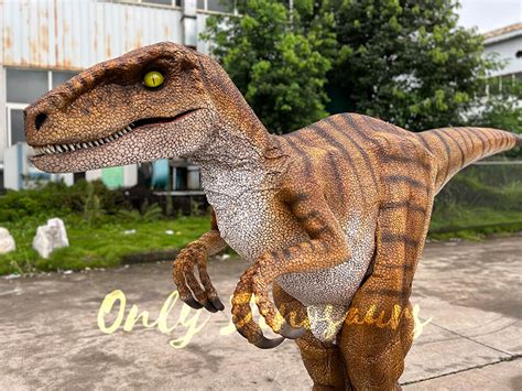 Vivid Velociraptor Realistic Costume Only Dinosaurs Maehoncom