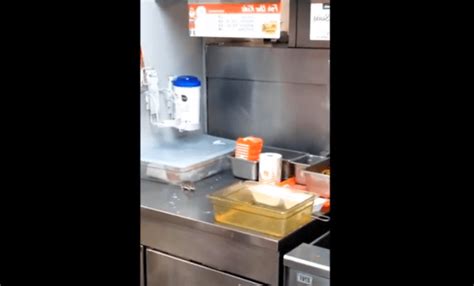 Mouse Jumps Into Deep Fryer At Whataburger Big 1021 Kybg Fm