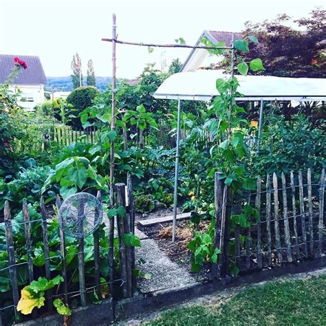 Wer einen garten neu anlegen möchte, muss vieles beachten. Gemüsegarten gestalten: 9 Ideen für einen hübschen Garten ...