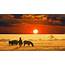 African Safari Sunset  The Golden Scope