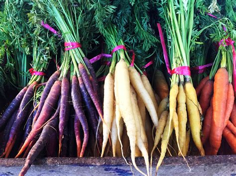 Why Carrots Are Orange And 5 Non Orange Carrots To Grow In Your Garden