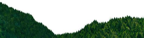 Forest Png Transparent Image Download Size 1920x512px