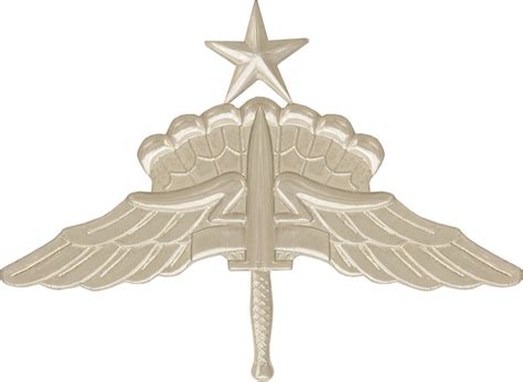 Military Free Fall Parachutist Badge 1 Combat Jump Airborne