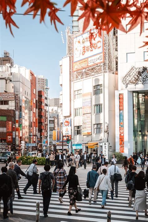 The Perfect Tokyo 5 Day Itinerary And City Guide 2023 Artofit