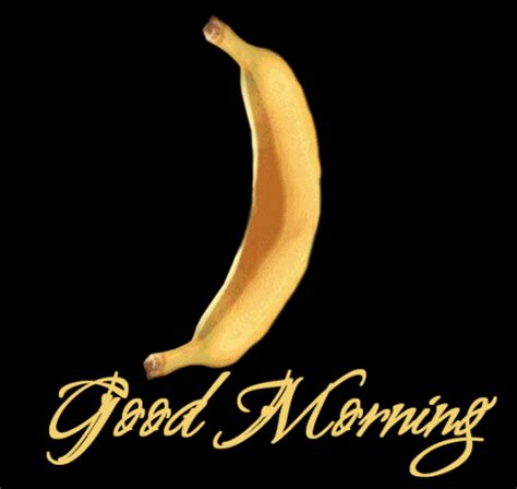 Browse and share the top good morning gifs from 2021 on gfycat. Good Morning GIFs - Find & Share on GIPHY