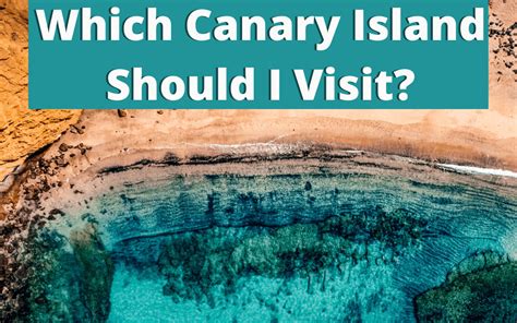 Seven Interesting Facts About Canary Islands Gambaran