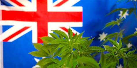Australian Capital Territory Legalizes Cannabis Home Cultivation And